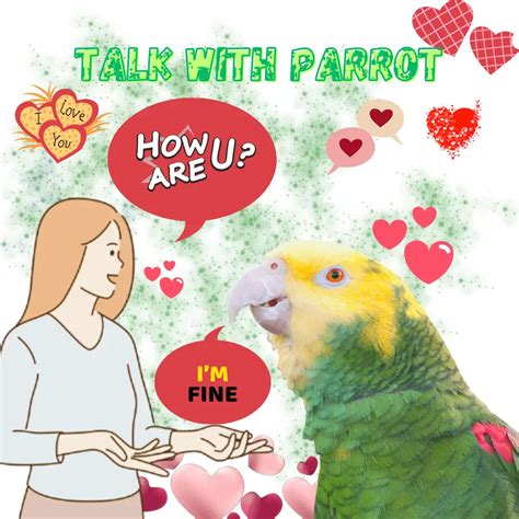 What do parrots think when they talk?