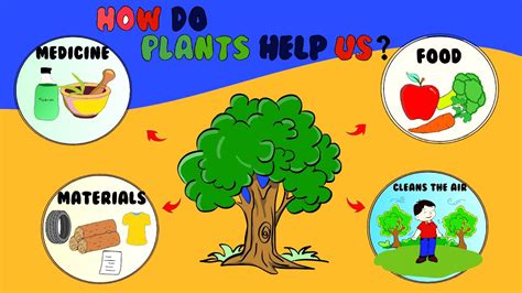 What do plants give us?