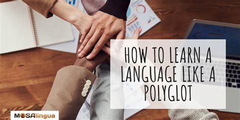 What do polyglots study?