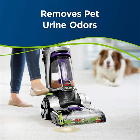 What do professional carpet cleaners use for pet urine?