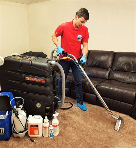 What do professional carpet cleaners use to remove stains?