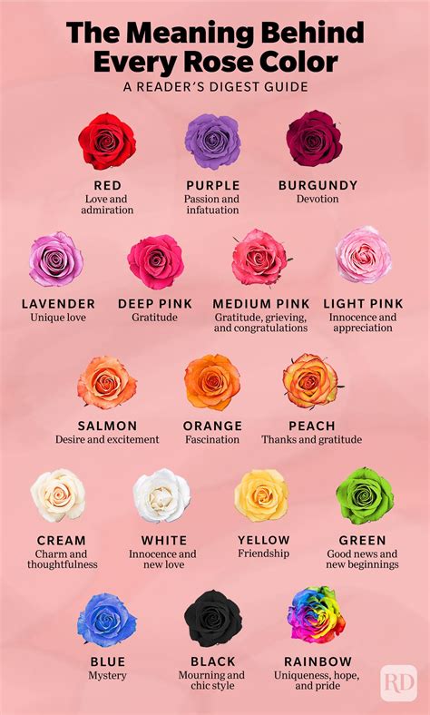 What do roses symbolize?