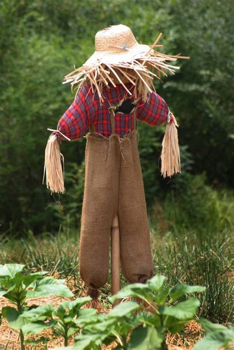 What do scarecrows actually do?