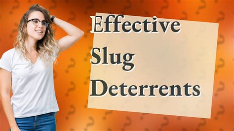 What do slugs hate most?