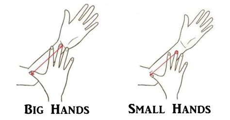 What do small hands mean on a girl?