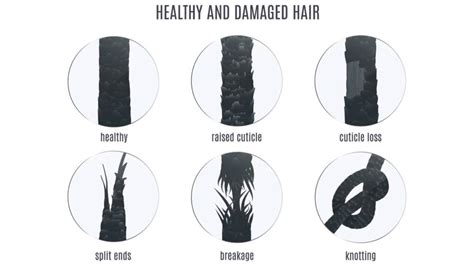 What do split ends actually look like?