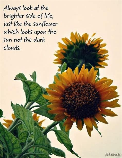 What do sunflowers say about a person?