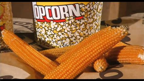 What do the British call popcorn?