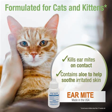 What do vets recommend for ear mites?
