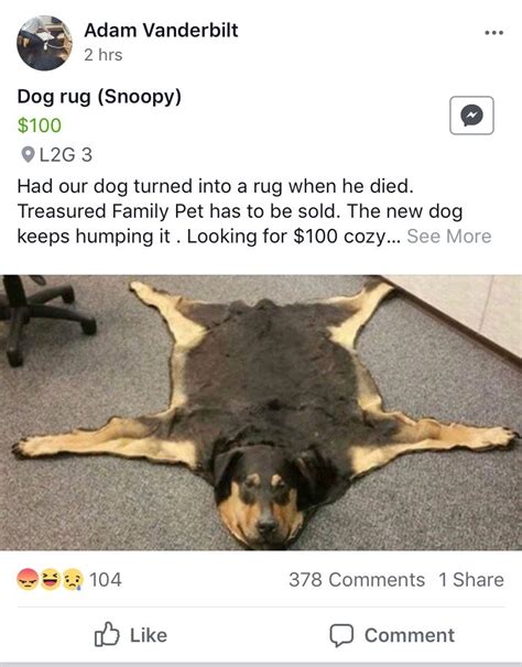 What do you do with a dog's body when it dies?