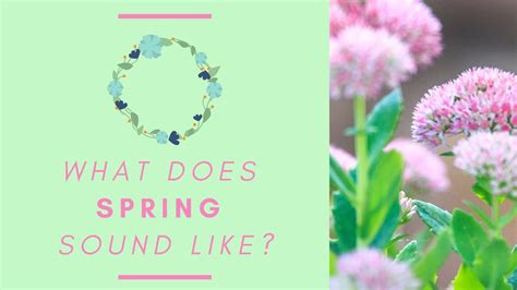 What do you hear in spring?