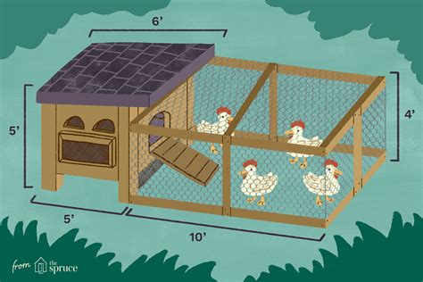 What do you need for a coop?