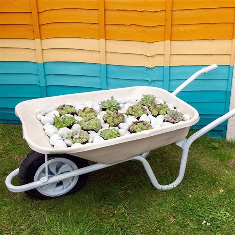 What do you put in a wheelbarrow planter?