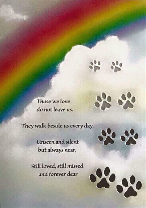 What do you say when someone loses a pet Rainbow Bridge?