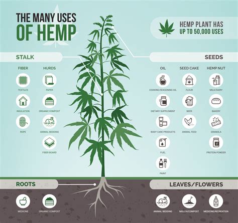 What does 100% hemp do to you?