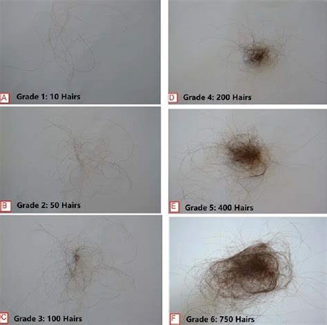 What does 100 hairs look like?