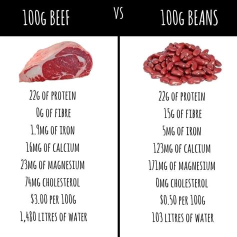 What does 100g of beef look like?