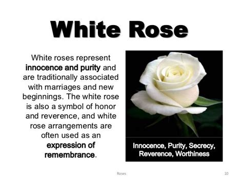 What does 101 white roses mean?