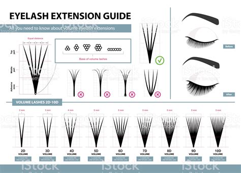 What does 10D mean in lashes?