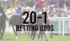 What does 20 to 1 odds mean?