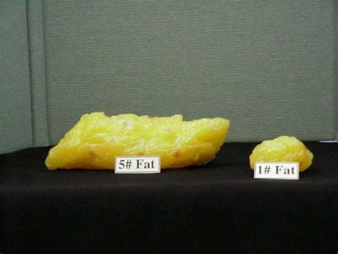 What does 2lb of fat look like?