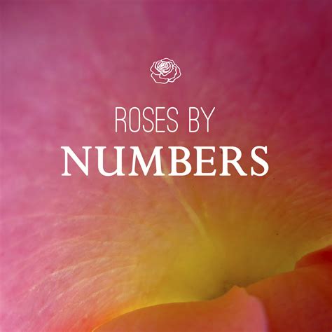 What does 3 roses mean?