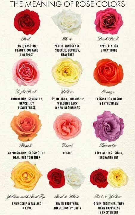 What does 34 roses mean?