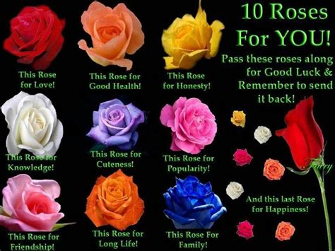 What does 60 roses mean?