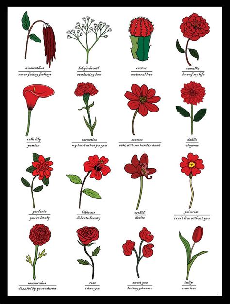 What does 7 red flowers mean?