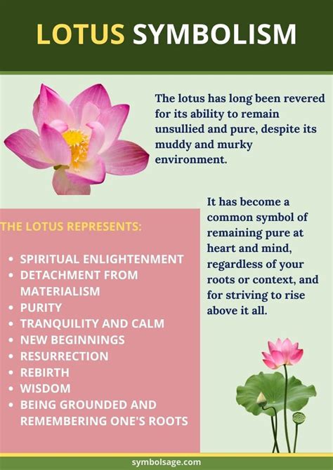 What does 9 petal flower symbolize?