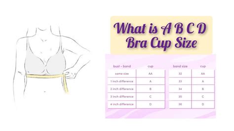 What does ABCD mean in bra cups?