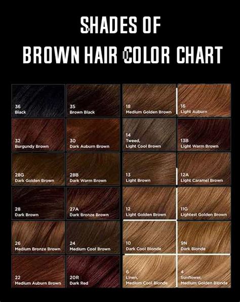 What does C mean in hair color?