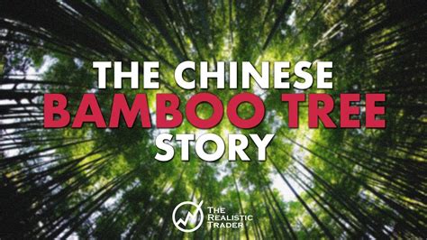 What does China use bamboo for?