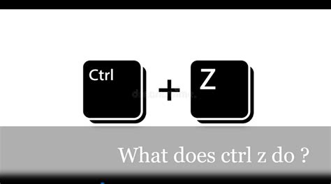 What does Ctrl Z do in Chrome?