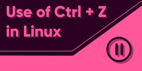 What does Ctrl Z do in Ubuntu?