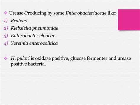 What does Enterobacteriaceae produce?