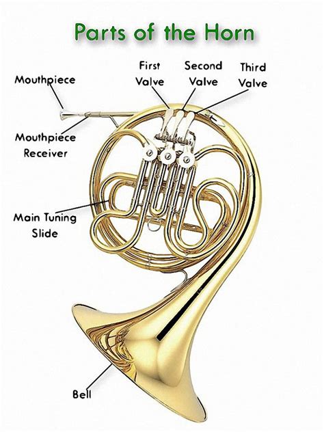 What does French horn read in?