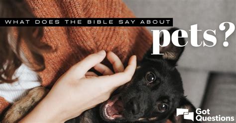 What does God say about dogs?
