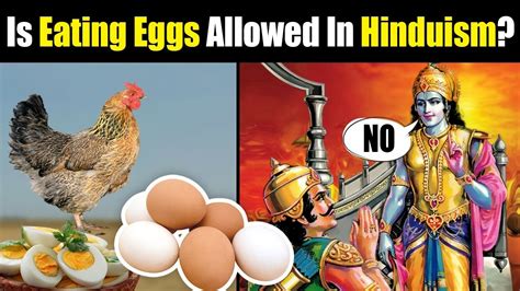 What does Hinduism say about eggs?