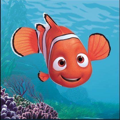 What does Nemo call his fin?