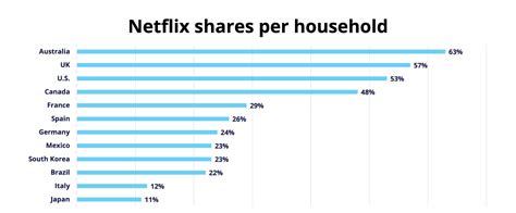 What does Netflix count as a household?