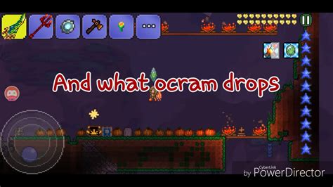 What does Ocram drop in Terraria?