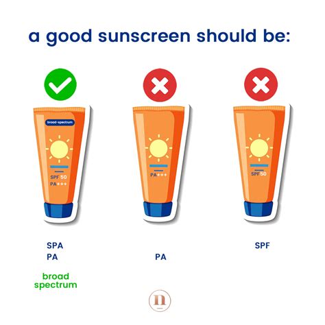 What does SPF 50 PA++++ mean?