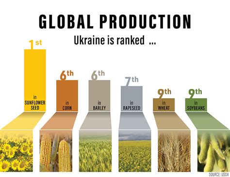 What does Ukraine produce the most?