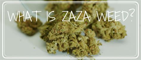 What does Zaza mean?