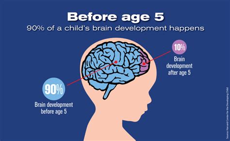 What does a 2 year old's brain do?