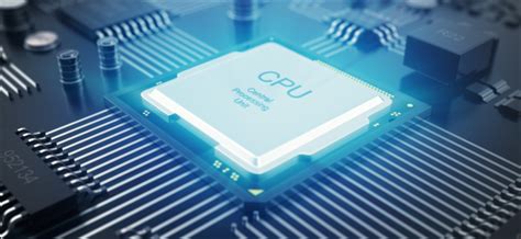 What does a CPU do?