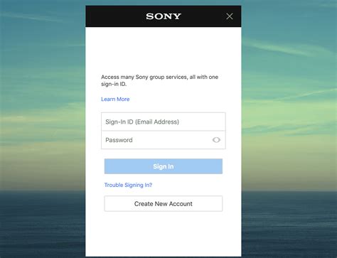 What does a Sony account do?