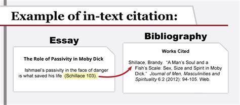 What does a citation look like?