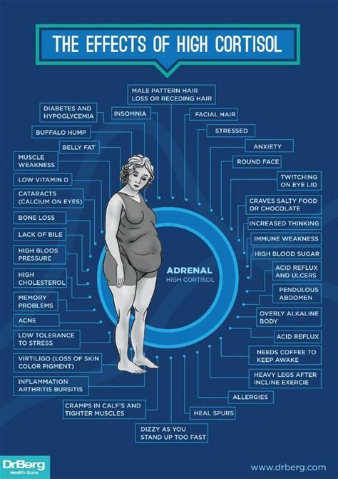 What does a cortisol belly look like?